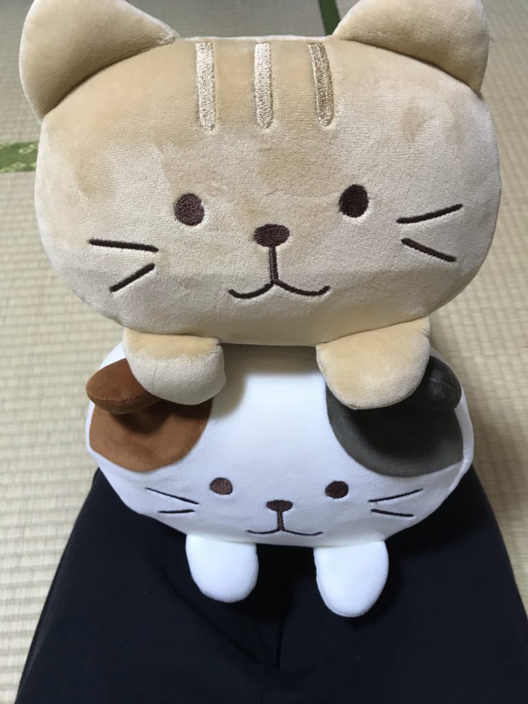 ハピンズのふくふくにゃんこのマルチクッション
