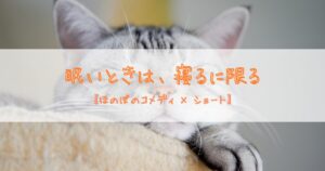 ふわふわ時間｜眠いときのうとうとした時間は幸せ【ほのぼのコメディ】